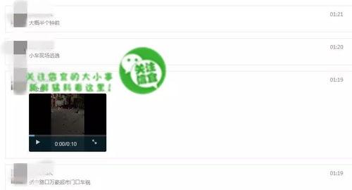 哪里可以看到爆料视频,揭秘爆料视频背后的真相与内幕 第3张 哪里可以看到爆料视频,揭秘爆料视频背后的真相与内幕 第3张